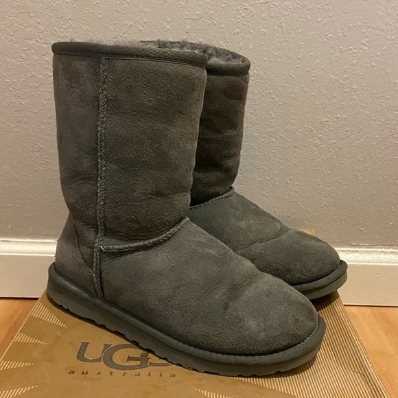 short gray ugg boots